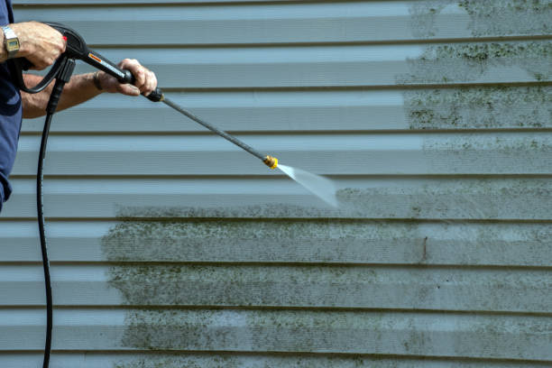 Best Vinyl Siding Pressure Washing in St Augusta, MN